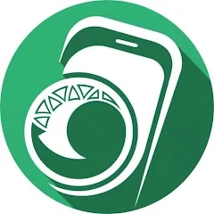 التحويل عبر صرافة المشقاص /العمقي سابقاً